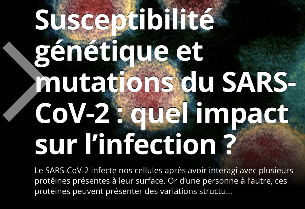 L’actu de la semaine, Susceptibilité génétique et mutations du SARS-CoV-2 : quel impact sur l’infection ?